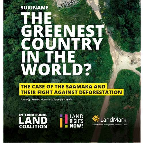 Header for The greenest country in the world? The case of the Saamaka and their fight against deforestation