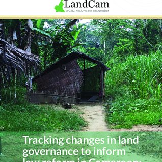 Header for Tracking changes in land governance to inform law reform in Cameroon: Methodology note