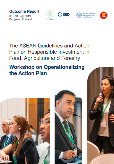 ASEAN Guidelines-workshop report-july-2019.png