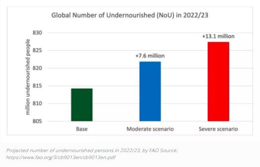 Global number of undernourished