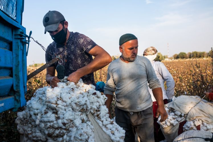 Land-grabs – the new red flag for Uzbek cotton sector.jpg