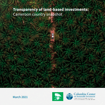 Header for Transparency of land-based investments: Cameroon country snapshot